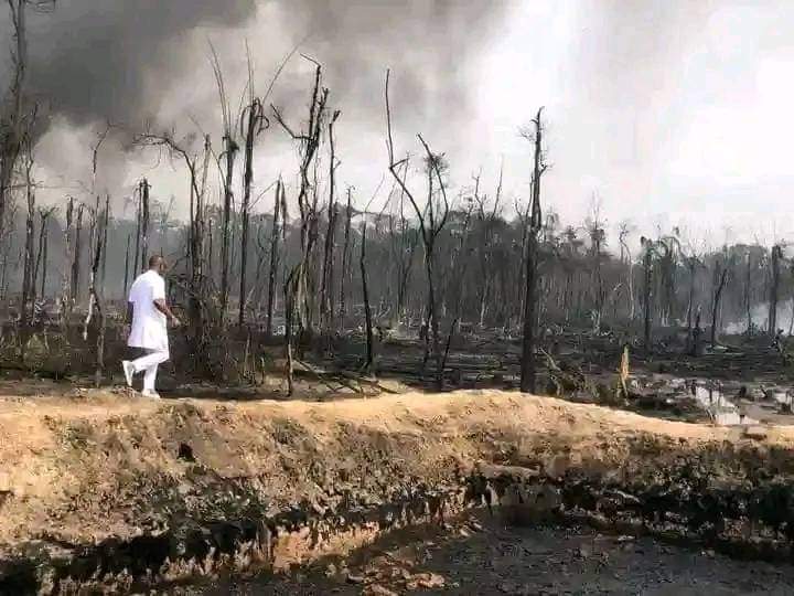 FB IMG 1696341661273