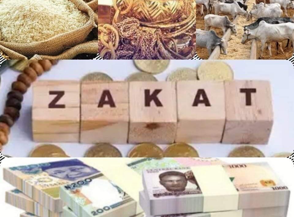 FB IMG 1696608891010