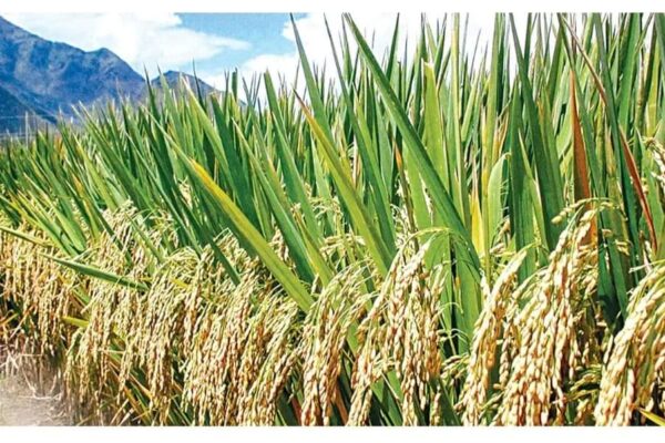 FB IMG 1697262631167