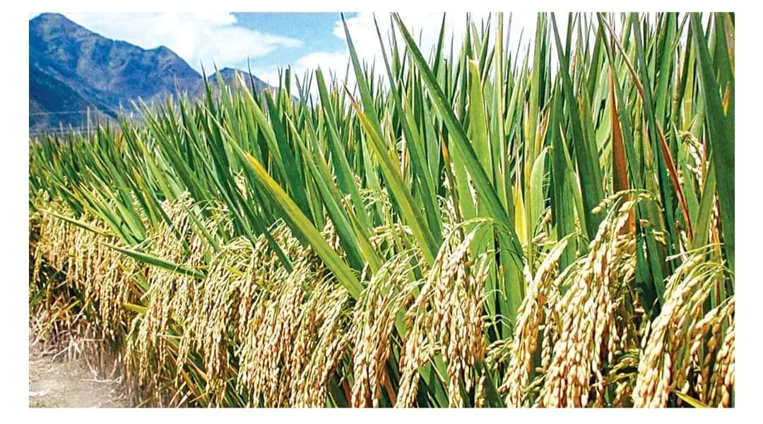 FB IMG 1697262631167