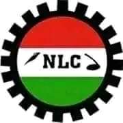 FB IMG 1702828536857