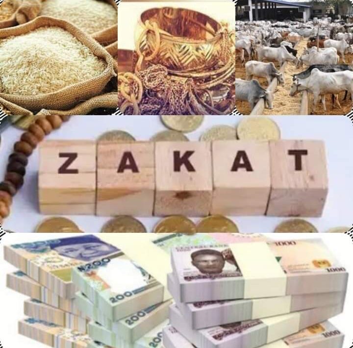 FB IMG 1707823520507