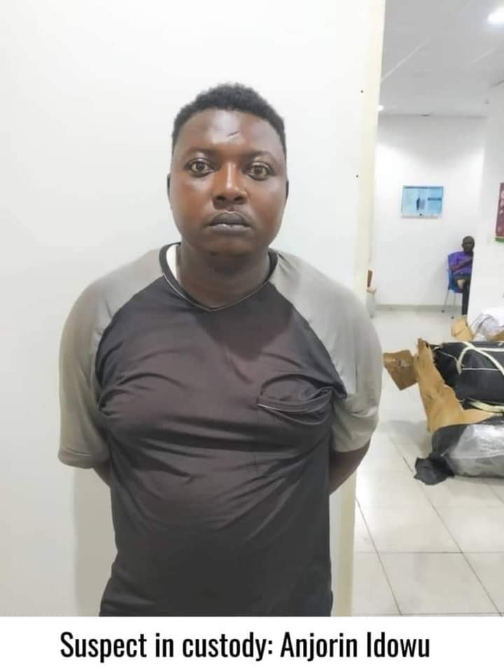 FB IMG 1708861815346