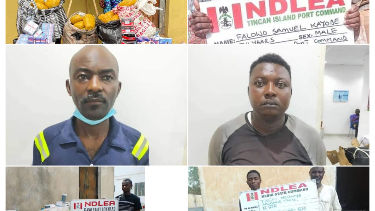 InShot 20240225 131834444