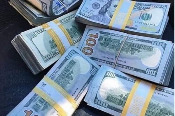 FB IMG 1709039529428