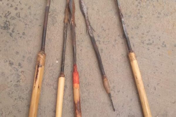 FB IMG 1718982874387