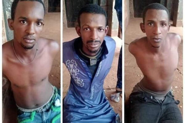 FB IMG 1719417043662