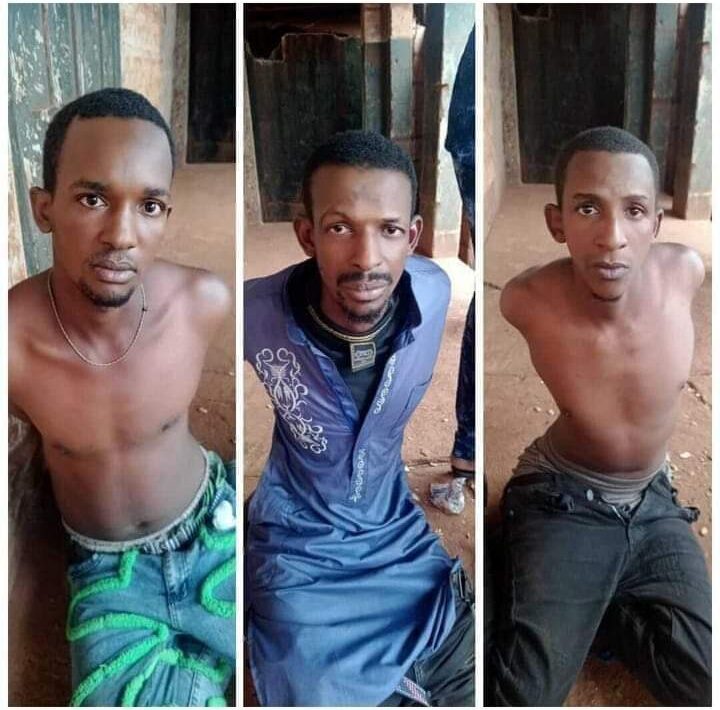 FB IMG 1719417043662