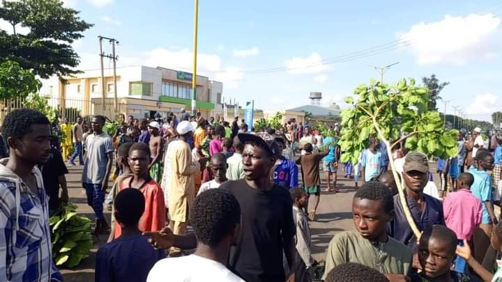 FB IMG 1722614886537