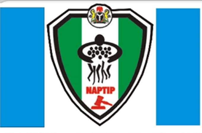 Naptip