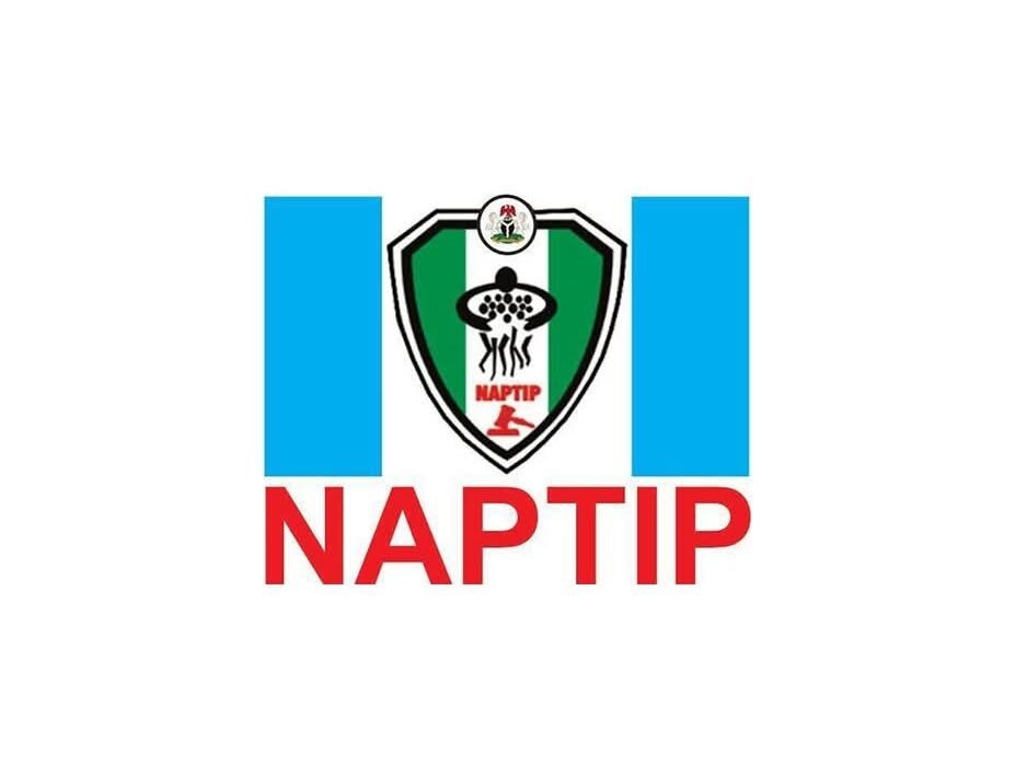 Naptip