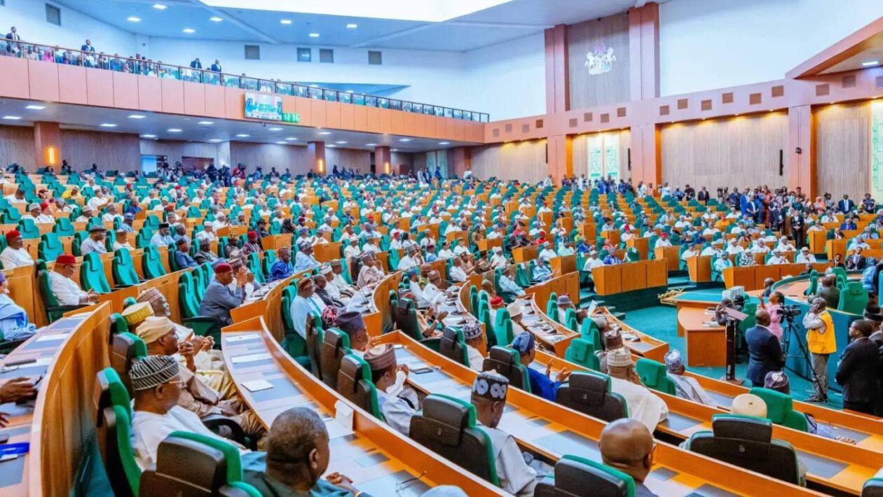 IMG 220314 29525 1748552611424