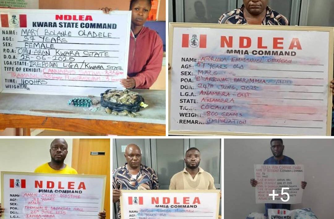 IMG 115140 29625 1751194321169