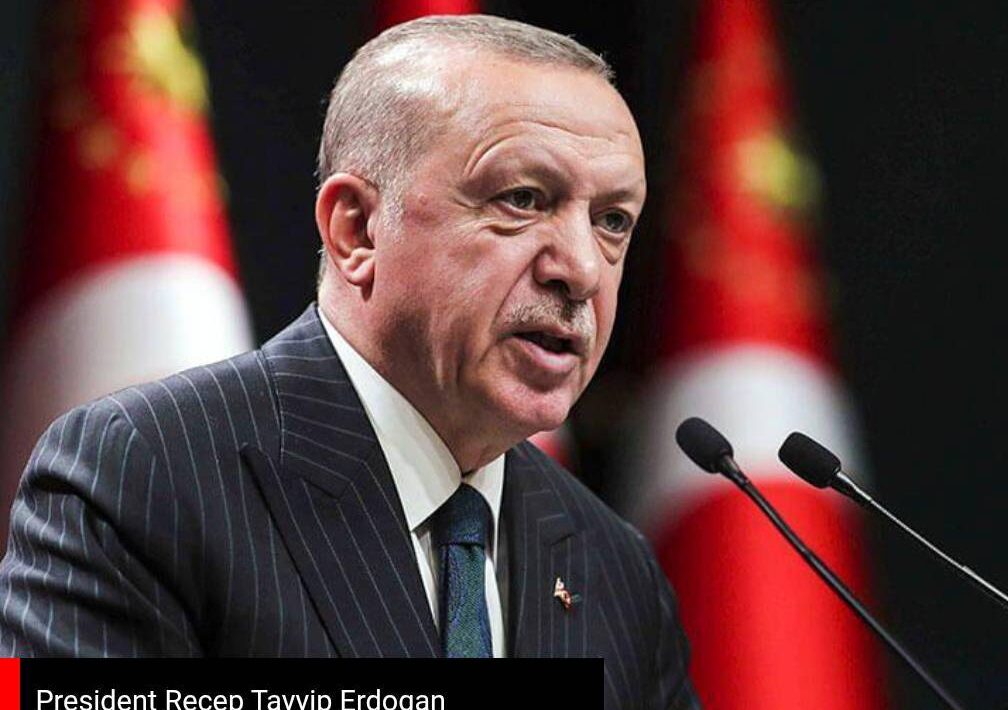 IMG 143102 13625 1749821491993