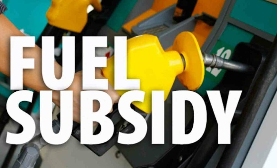 IMG 144302 09725 1752068593990