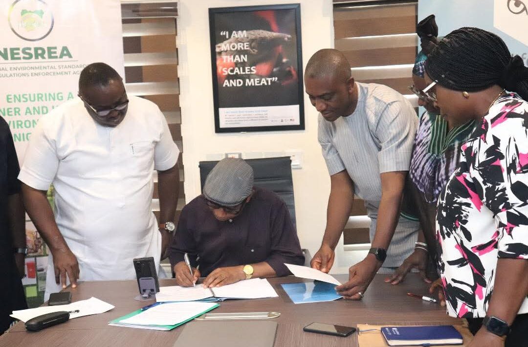 FB IMG 1758103244133