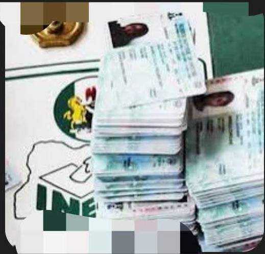 IMG 080234 02925 1756796575042