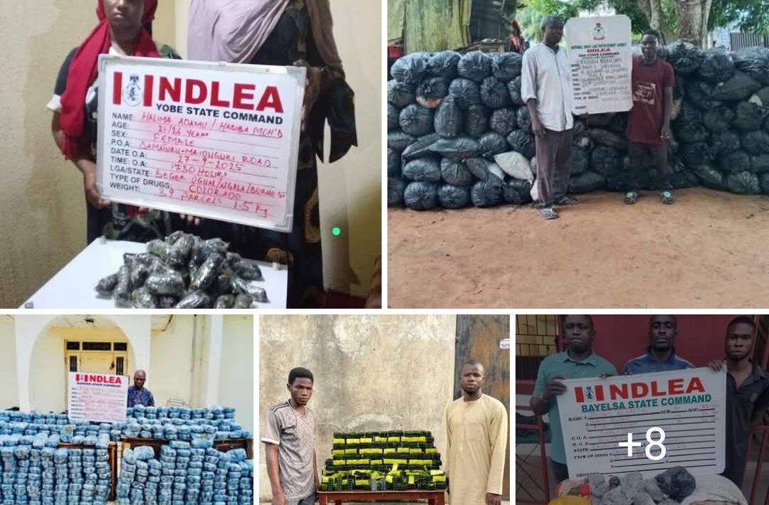 IMG 111312 28925 1759054402389