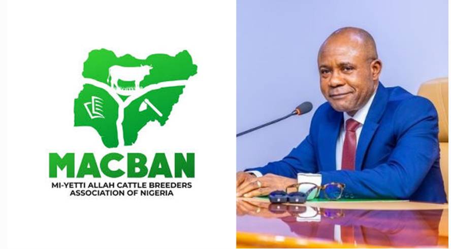 IMG 204654 14925 1757879236061