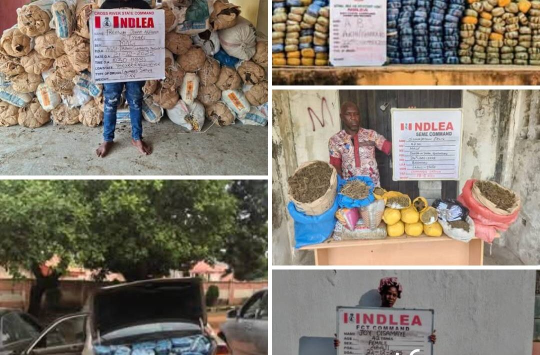 IMG 172051 281225 1766938862727