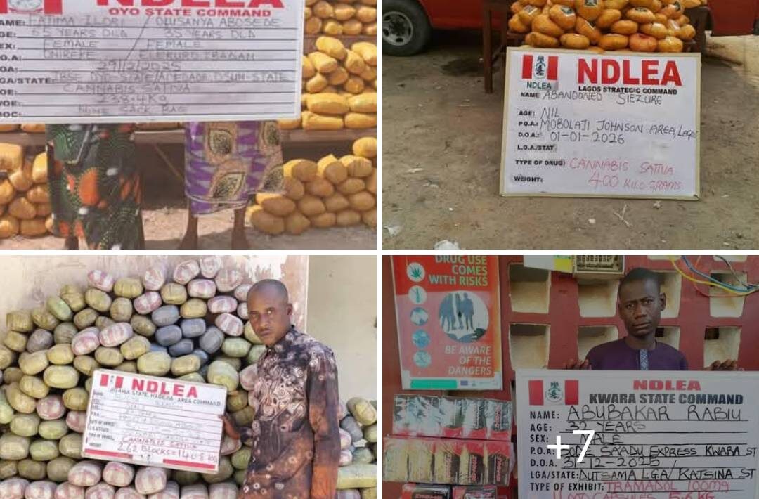 IMG 130237 04126 1767528167242