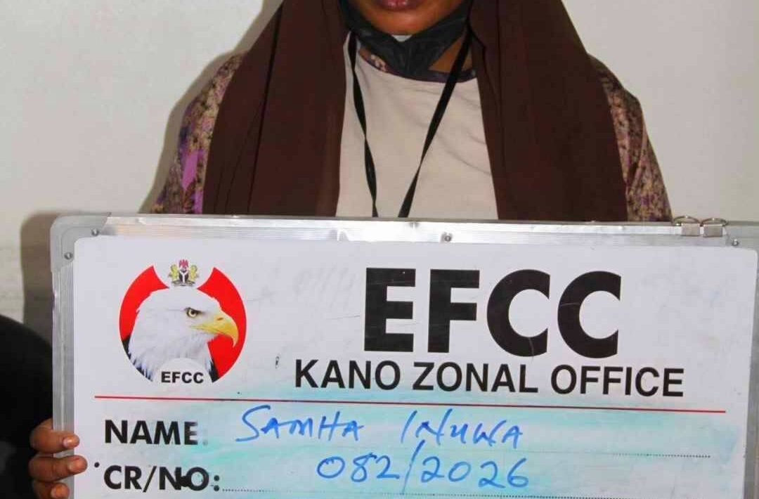 IMG 214925 03226 1770151795723