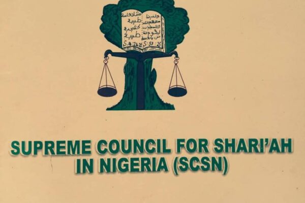 IMG 220204 02226 1770066136986