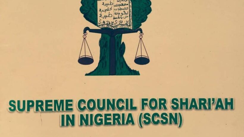 IMG 220204 02226 1770066136986