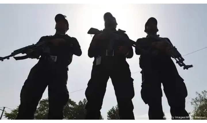 FB IMG 1707295289214