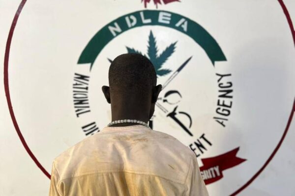 IMG 182304 30426 1777569792944