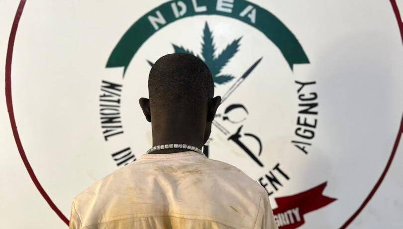 IMG 182304 30426 1777569792944