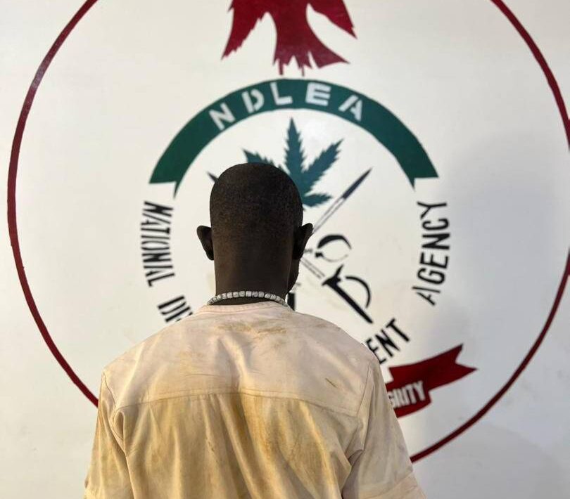 IMG 182304 30426 1777569792944