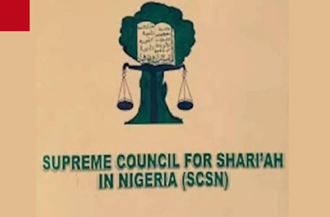 IMG 212327 02426 1775161422169